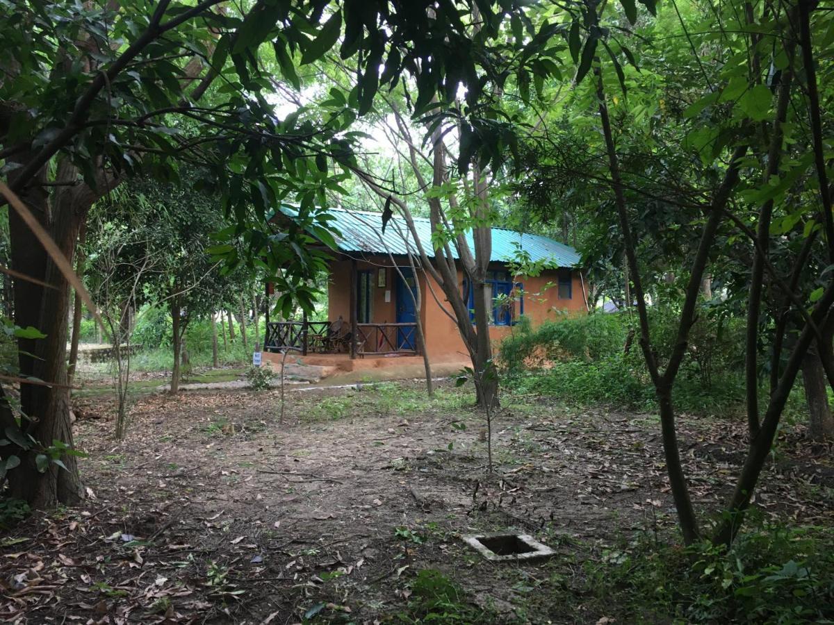 Camp Hornbill Corbett Ramnagar (Uttarakhand) Exterior foto