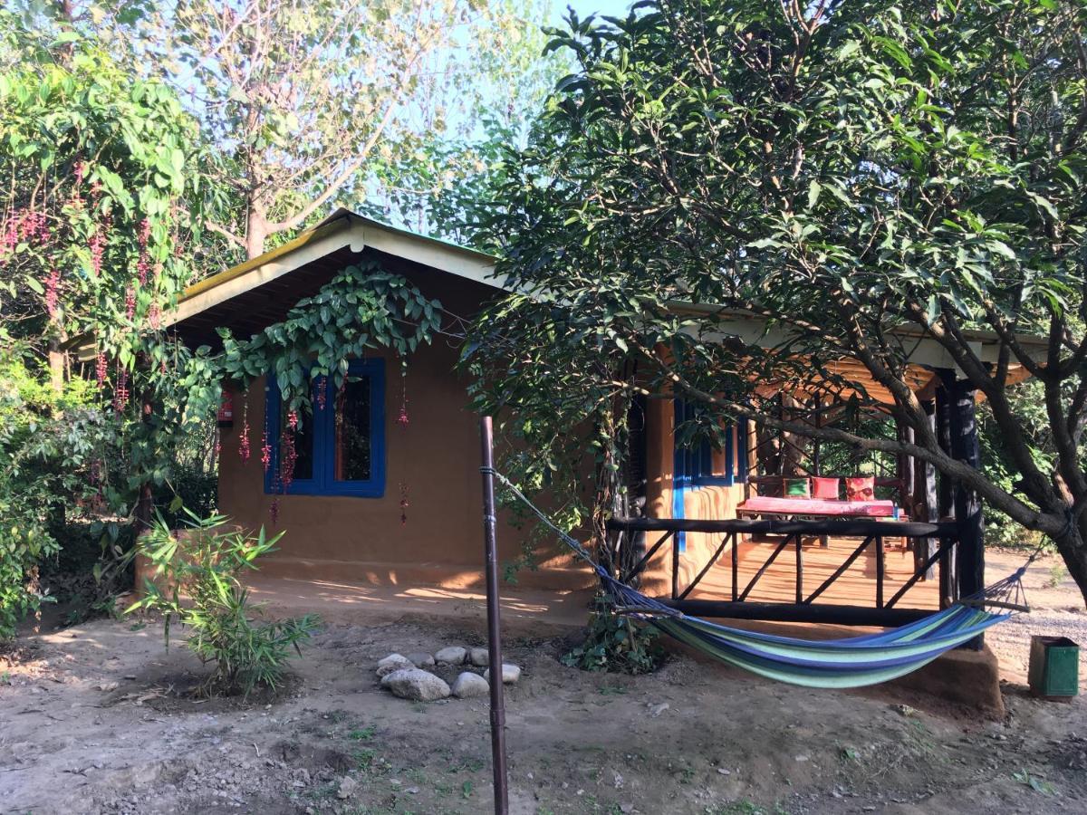 Camp Hornbill Corbett Ramnagar (Uttarakhand) Exterior foto