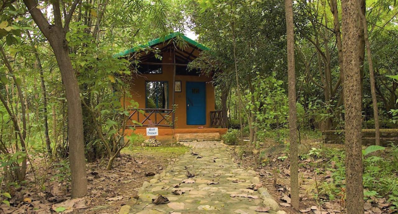 Camp Hornbill Corbett Ramnagar (Uttarakhand) Exterior foto