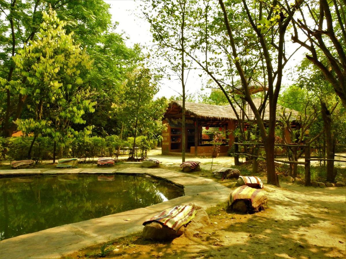 Camp Hornbill Corbett Ramnagar (Uttarakhand) Exterior foto